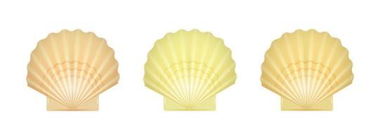 coquilles Saint-Jacques set illustration vectorielle vecteur