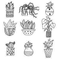 set collection doodle plante d'intérieur en pot vecteur