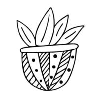 plante d'intérieur en pot doodle vecteur