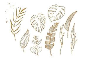 ensemble de feuilles tropicales dorées. dessin graphique de feuilles de palmier, monstera, banane. clipart isolé sur fond blanc vecteur