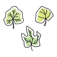 feuilles de citrouille dans un style doodle vecteur