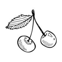 vecteur cerise clipart. icône de baies dessinées à la main. illustration de fruits