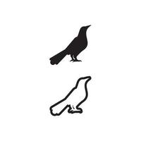 oiseaux et hirondelle conception de logo colombe et vecteur ailes d'animaux et oiseau volant