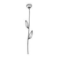 fleurs sauvages. éléments floraux dessinés à la main. illustration vectorielle. vecteur