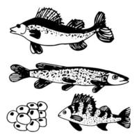 ensemble d'images vectorielles de griffonnages de poissons de rivière et de caviar. dessinés à la main sur un fond blanc. pour les amateurs de pêche et de chasse, pour bannières, papiers peints, emballages décoratifs, conception de tissus. vecteur
