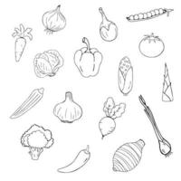 collection d'icônes de légumes set vector isolé. maïs, brocoli, carotte, taro, échalote, aubergine cassante, ail, pois, radis, piment, pousse de bambou, tomate, laitue et oignon.