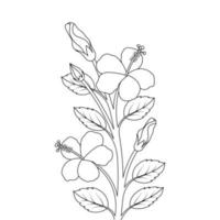 fleur d'hibiscus et bourgeon illustration de page à colorier avec dessin au trait vecteur