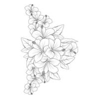 fleur d'hibiscus rouge coloriage dessin au trait avec modèle d'impression pour enfant et adulte vecteur