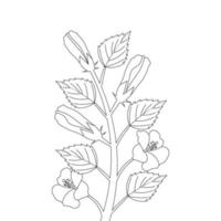 page de coloriage pour enfants d'illustration de fleur d'hibiscus avec trait d'art en ligne vecteur