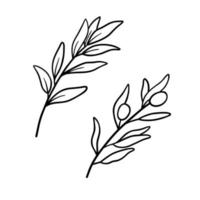 branche d'olives dans le style de dessin d'art en ligne. croquis linéaire noir minimaliste sur fond blanc. illustration de contour de vecteur