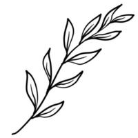 dessin au trait de feuilles, ligne de feuilles en noir et blanc pour les impressions ou l'arrière-plan. vecteur
