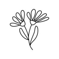 illustration botanique simple de vecteur de deux fleurs. éléments de conception minimaux d'œuvres d'art en ligne. doodles végétaux élégants et délicats pour la marque, la conception graphique. clipart floral de printemps