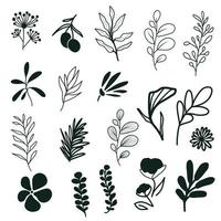 ensemble de fleurs de contour de doodle isolé sur fond blanc. collection d'icônes florales vectorielles simples. élément de conception de logo. feuilles et branches botaniques. vecteur