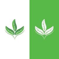 logos de l'écologie des feuilles d'arbre vert vecteur