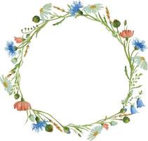 couronne florale aquarelle aux herbes sauvages. cadre de cercle de vecteur pour les invitations de mariage ou les cartes de voeux. bordure ronde dessinée à la main avec des fleurs. illustration botanique