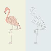 dessin au trait abstrait flamant rose illustration vectorielle vecteur