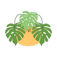 monstres dans un pot. plante tropicale pour la décoration intérieure de la maison ou du bureau. illustration vectorielle isolée sur fond blanc. style bande dessinée. vecteur