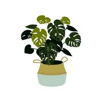 illustration vectorielle d'un monstera isolé sur blanc. plante d'intérieur dans un pot. élément de design d'intérieur. vecteur