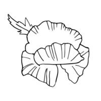 dessin à la main fleur de pavot unique isolée sur blanc, vue de dessus, vecteur doodle noir et blanc