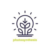 icône de ligne de photosynthèse avec plante et soleil vecteur