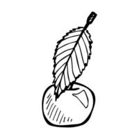 vecteur cerise clipart. icône de baies dessinées à la main. illustration de fruits