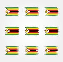 brosse de drapeau du zimbabwe. drapeau national vecteur