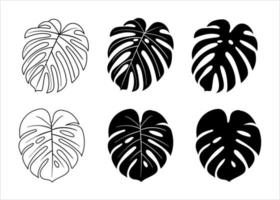 silhouettes avec des feuilles de palmiers tropicaux, monstera. fond fleuri. isolé sur fond blanc. vecteur