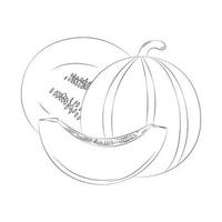 illustration d'art en ligne, illustration vectorielle de fruits d'été pour livre de coloriage, illustration de contour de fruits vecteur