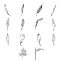 dessin de contour de feuilles et de fleurs vecteur
