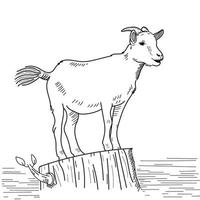 chèvre vecteur eid adha chèvre dessin au trait