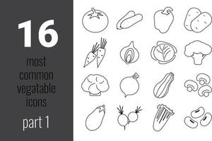 ensemble d'icônes web de fine ligne de légumes les plus courants. collection d'icônes de contour. illustration vectorielle simple. vecteur