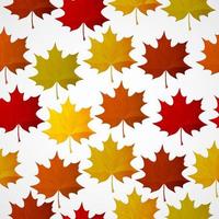 fond abstrait avec des feuilles colorées d'automne. vecteur
