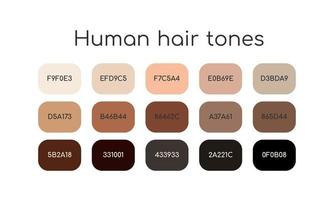 palette de tons de cheveux humains. différentes couleurs avec nom de code. vecteur
