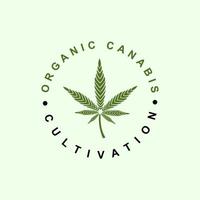 feuille de pot de chanvre cannabis marijuana dans un vecteur de logo cercle