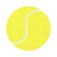 illustration colorée de vecteur de balle de tennis isolée sur fond blanc