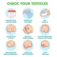 auto-examen des testicules. symptômes du cancer des testicules et infographie de l'examen mensuel. jeu d'icônes vectorielles.i illustration pour dépliants, brochures, ressources Web, centres de santé. vecteur