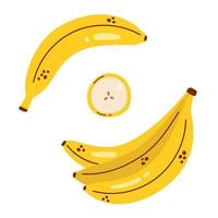 ensemble de bananes vectorielles. régimes de banane et tranche de banane. jolie collection avec des bananes. Fruit exotique. vecteur