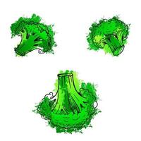 légumes brocoli. aquarelle croquis dessinés à la main sur fond blanc. illustration vectorielle graphique de texture grunge. vecteur