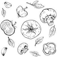 légumes linéaires dessinés à la main, pizza végétarienne à la tomate, ail, champignons, basilic. illustration vectorielle. vecteur