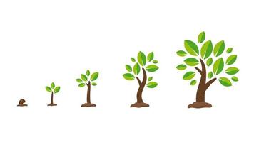ensemble de croissance de plantes ou d'arbres vecteur