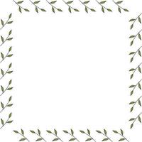 cadre carré composé de branches vertes avec des feuilles. vecteur sur blanc pour votre conception- 02