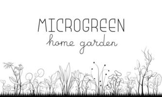 illustration vectorielle de microgreen croquis. cadre de cercle d'herbe pour le texte. vert pour le jardinage domestique. moutarde, maïs, pois, oignon, tournesol plante pour salade vecteur
