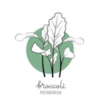 illustration vectorielle de microgreen croquis. vert pour le jardinage domestique. plante de brocoli sur fond de cercle