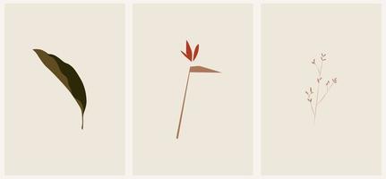 heliconia rouge en jacquard sans couture, cartes postales et affiches. illustration vectorielle botanique pour salon de beauté et magasins vecteur