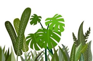 plante à feuilles vertes pour fond blanc naturel, illustration design plat vecteur
