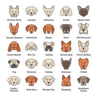 ensemble d'icônes de couleur de races de chiens. chiens guides, gardiens, de chasse, de berger. illustrations vectorielles isolées vecteur