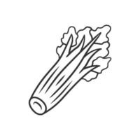 icône linéaire de céleri. feuilles. plante agricole. ingrédient de la salade. régime équilibré. alimentation végétalienne. illustration de la ferme maraîchère. symbole de contour. dessin de contour isolé de vecteur. trait modifiable vecteur