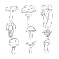 ensemble de vecteurs de doodle aux champignons. collection d'art de ligne isolée d'humeur d'automne, impression, bannière, affiche, élément de conception de carte de voeux. vecteur