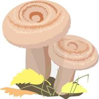 illustration vectorielle de champignons vecteur