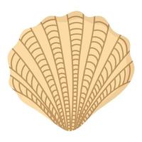 coquille sous-marine tropicale. doodle clipart plat. tous les objets sont repeints. vecteur